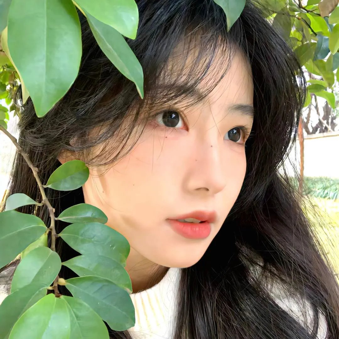 索命牙仙