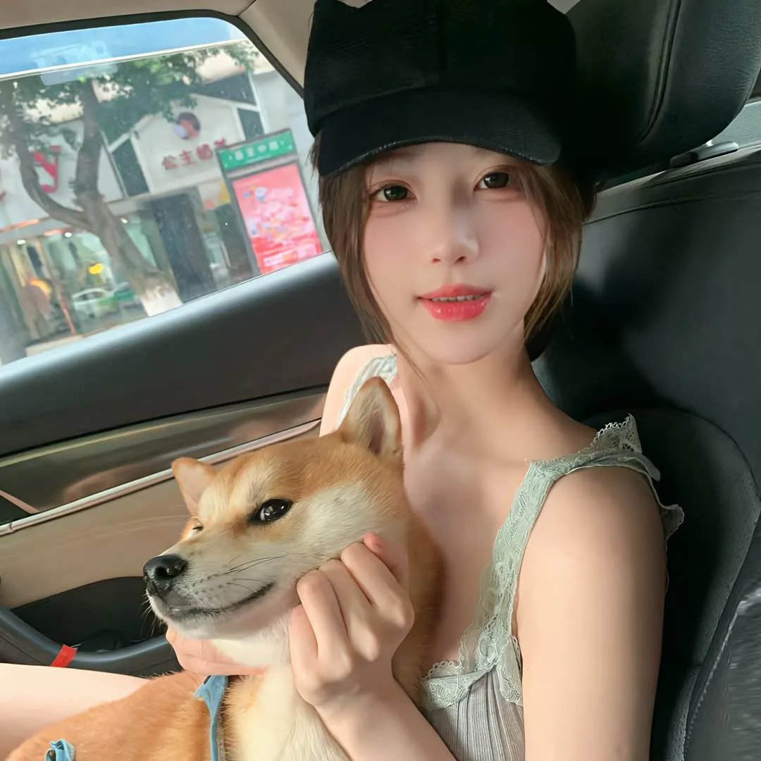 驯龙高手番外篇:龙的礼物